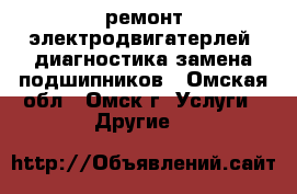 ремонт электродвигатерлей ,диагностика,замена подшипников - Омская обл., Омск г. Услуги » Другие   